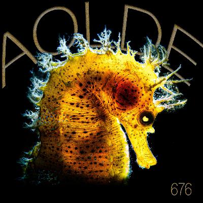 Al Otro Lado del Espejo#676-08-11-25