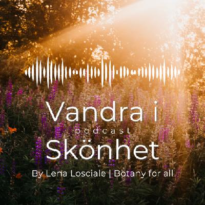 Frågor och Svar med Lena Losciale - VANDRA I SKÖNHET podcast