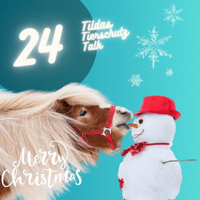 24. Türchen!! ❤️✨🐴🎁🎁