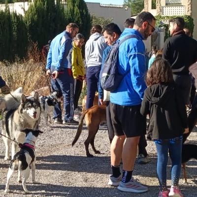 EL ROMPEOLAS T08C018 Yecla. XII Marcha canina de Spandy (09/11/2025)