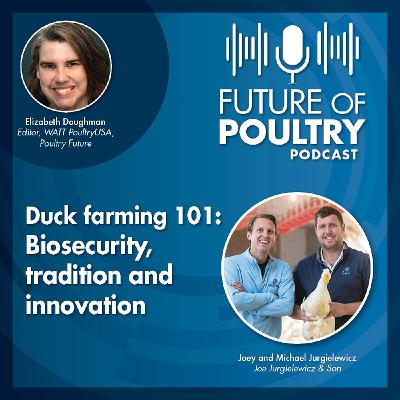 Duck farming 101: Biosecurity, tradition and innovation