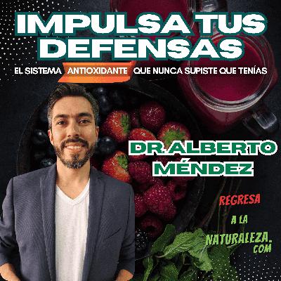 #17 > El Sistema Antioxidante Que Nunca Supiste Que Tenías - C/ Dr. Alberto Méndez