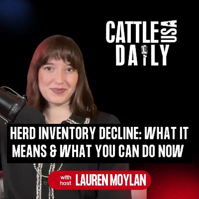 207: Herd Inventory Decline: What It Means & What You Can Do Now 207: Herd Inventory Decline: What It Means & What You Can Do Now