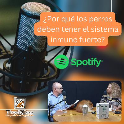 ¿Por qué los perros deben tener el sistema inmune fuerte?