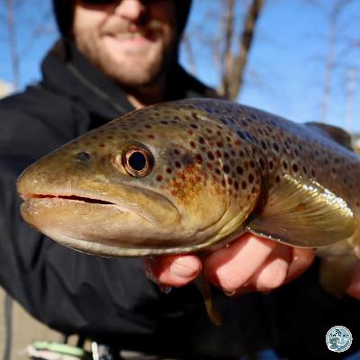 S8, Ep 4: Chilly Waters and Crafty Flies: A New Year Fishing Report with George Costa S8, Ep 4: Chilly Waters and Crafty Flies: A New Year Fishing Report with George Costa