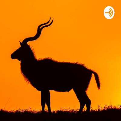 Hunting Namibia with Peter Thormhalen Hunting Namibia with Peter Thormhalen