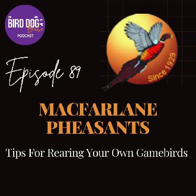 Episode 089: Tips For Rearing Your Own Gamebirds Episode 089: Tips For Rearing Your Own Gamebirds
