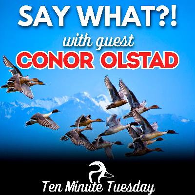 Conor Olstad; Say What?!