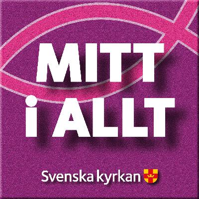 Mitt i Allt - Avsnitt 25: Konspirationsteorier Mitt i Allt - Avsnitt 25: Konspirationsteorier