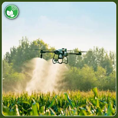 Drones, innovación y nuevos desafíos: cómo evoluciona la protección foliar en el agro