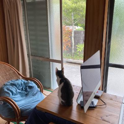 Cap.13 La Infancia de los Millenieals