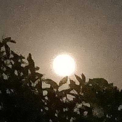 ஜாதகம் என்பது எந்த அளவுக்கு உண்மை? அதை நம்பலாமா? எதன் அடிப்படையில் அதை கணிக்கிறார்கள் என விளக்கம் ஜாதகம் என்பது எந்த அளவுக்கு உண்மை? அதை நம்பலாமா? எதன் அடிப்படையில் அதை கணிக்கிறார்கள் என விளக்கம்