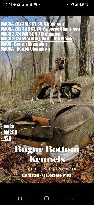 Bogue Bottom Kennels with JD Staten