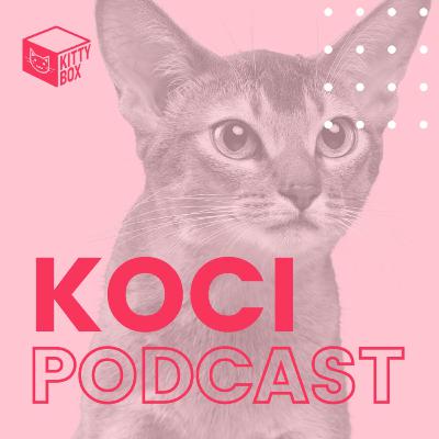 Kitty Box Podcast Odc. 02 Nowy (koci) członek rodziny Kitty Box Podcast Odc. 02 Nowy (koci) członek rodziny