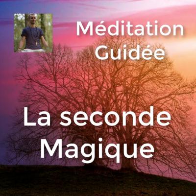 #036 - Wilfrid Bergé - Méditation - Prévenir de l'apparition de la maladie d'Alzheimer