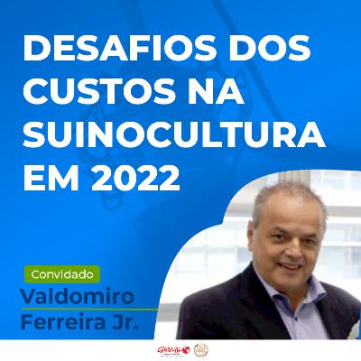 Como a suinocultura irá superar os desafios dos custos em 2022?