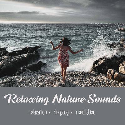 A Trip to the Shore | 1 Hour