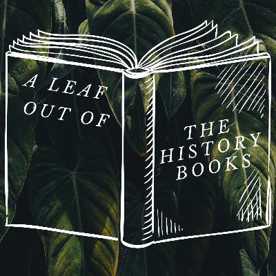 The Slave Trade: From suffering to abolition