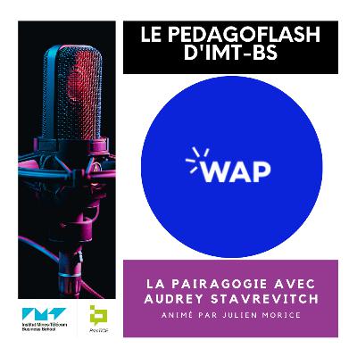 #11 - La pairagogie avec Audrey Stavrevitch