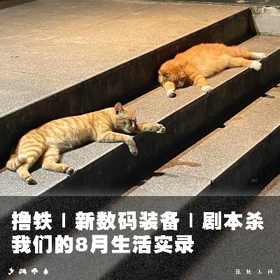 撸铁|新数码装备|剧本杀|我们的8月生活实录 撸铁|新数码装备|剧本杀|我们的8月生活实录