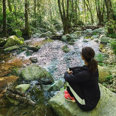 Meditación guiada  Para soltar el sufrimiento