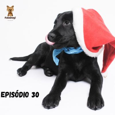 Cuidados com alimentos e enfeites de Natal