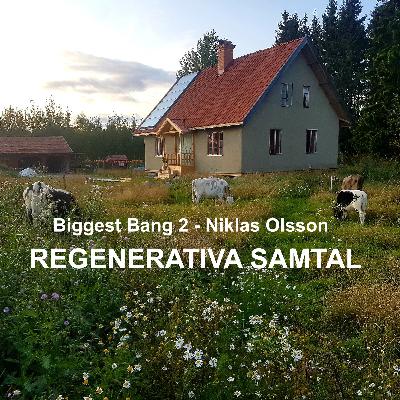 Biggest Bang 2 - Niklas Olsson