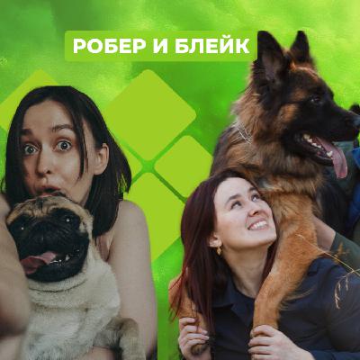 Неазия, хейт, окружение и баланс | Робер и Блейк