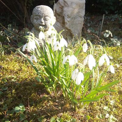 Gleiche Antwort, verschiedene Bedeutung