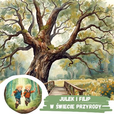 #51 Król Puszczy cz.1