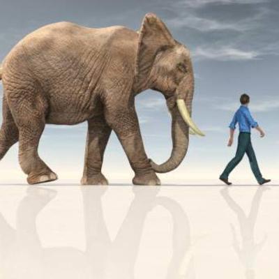 Capítulo 2 Capítulo 2