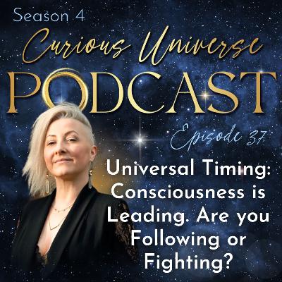 37 - Universal Timing: Consciousness is Leading. Are you Following or Fighting? 37 - Universal Timing: Consciousness is Leading. Are you Following or Fighting?