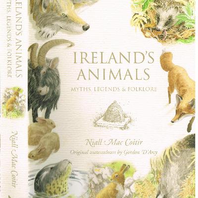 Social Searching on the 'Net; Prime Numbers; Ireland's Animals