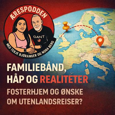 18. Mellom tilknytning og grenser – en sak om fosterhjem, familiekontakt og forventninger