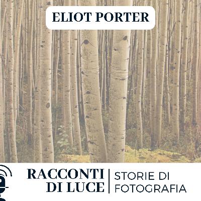 38 Eliot Porter - I colori della Natura - Bonus Colori