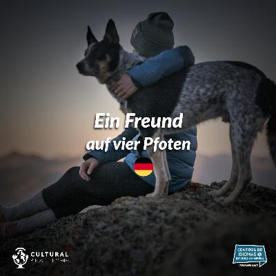 Ein Freund auf vier Pfoten Ein Freund auf vier Pfoten