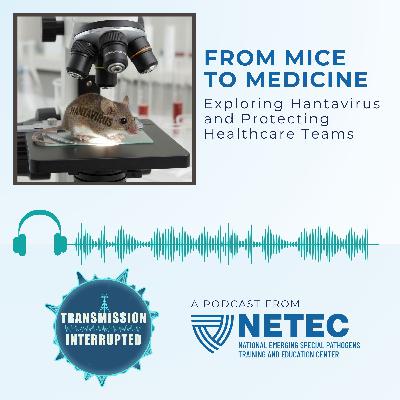 From Mice to Medicine: Exploring Hantavirus and Protecting Healthcare Teams