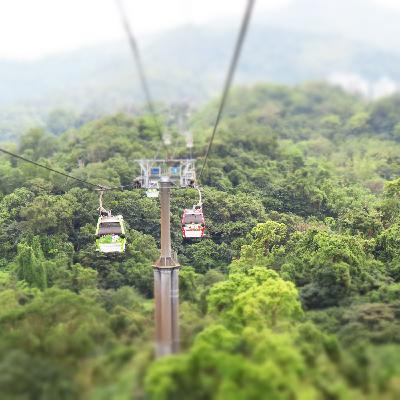 貓空纜車・日光與鳥聲