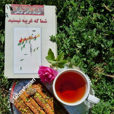 شما که غریبه نیستید  ۳۹