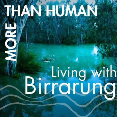 Living with Birrarung 2: Life and Law