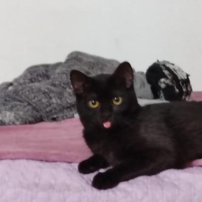 The true aspect of us and why is this love?