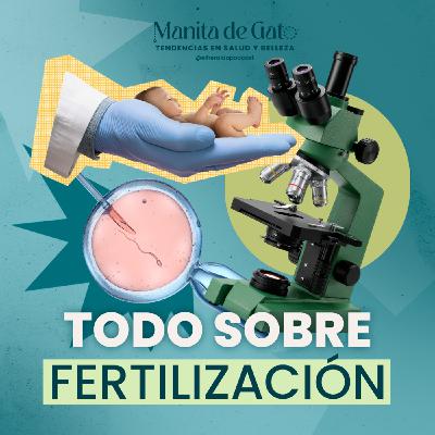 In vitro, congelar óvulos y más: lo que debes saber sobre los tratamientos actuales In vitro, congelar óvulos y más: lo que debes saber sobre los tratamientos actuales