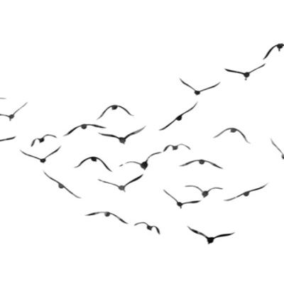 نشست_۲۹_شاهنامه_دماوند_بیژن_و_تاج_تژاو