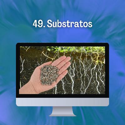 49. Substratos 49. Substratos