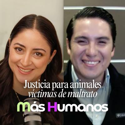 Justicia para los animales que sufren en silencio: tracción, esclavitud, explotación y maltrato. Justicia para los animales que sufren en silencio: tracción, esclavitud, explotación y maltrato.