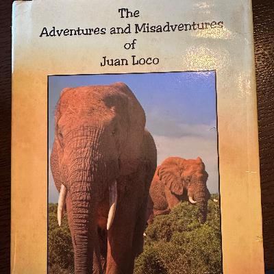 British Columbia Elk in Bugle British Columbia Elk in Bugle