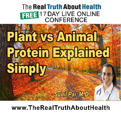 Plant vs Animal Protein: Understanding the Key Differences for Better Health Plant vs Animal Protein: Understanding the Key Differences for Better Health