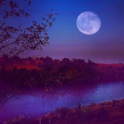 Tras las huellas de Siddhartha - Rio Rohini