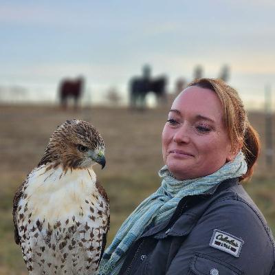 Hunting with Falcons