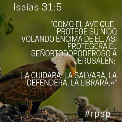 Isaías 31-32 Como el 🦅Ave que protege su nido, volando encima de él, así protegerá El Señor a Su pueblo: Lo librará y protegerá, lo salvará y lo cuidará…defenderá y auxiliará, preservará y rescatará
